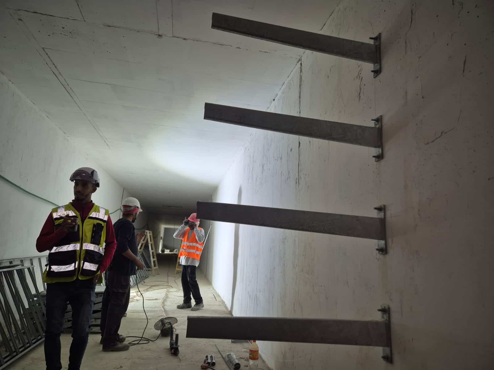 תחש גבעה הצרפתית ירושלים — עיגון כימי